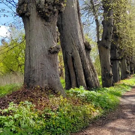 Apartment Garten-ferienhaus Biendorf Ot Westenbruegge Uhlenbrook