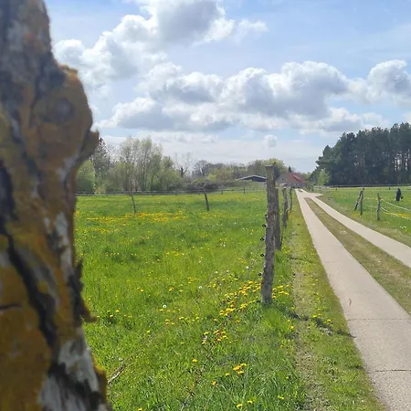 Apartment Garten-ferienhaus Biendorf Ot Westenbruegge *