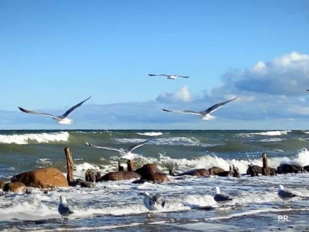 Garten-ferienhaus Biendorf Ot Westenbruegge *