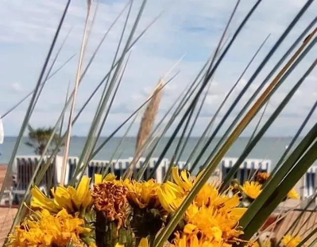 Apartmán Garten-ferienhaus Biendorf Ot Westenbruegge