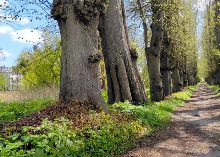 Apartmán Garten-ferienhaus Biendorf Ot Westenbruegge Uhlenbrook
