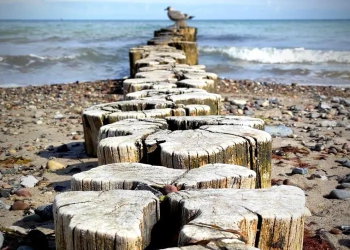 Garten-ferienhaus Biendorf Ot Westenbruegge *