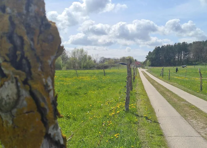 Apartmán Garten-ferienhaus Biendorf Ot Westenbruegge *